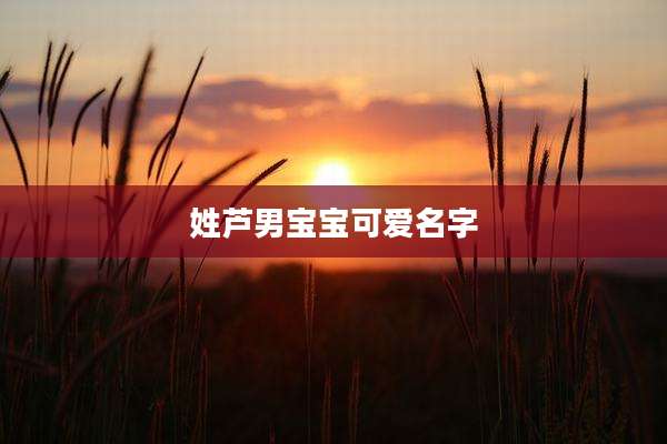 姓芦男宝宝可爱名字
