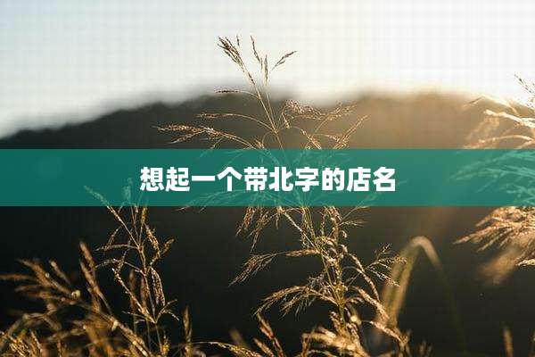 想起一个带北字的店名