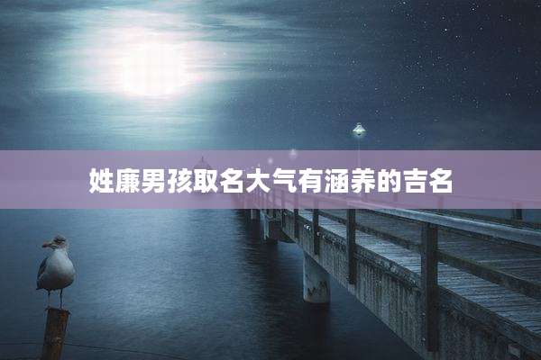 姓廉男孩取名大气有涵养的吉名