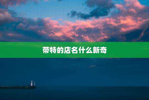 带特的店名什么新奇