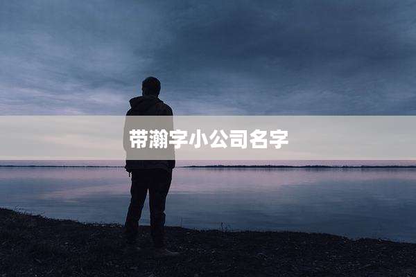 带瀚字小公司名字