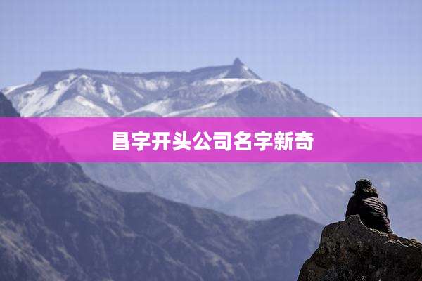 昌字开头公司名字新奇