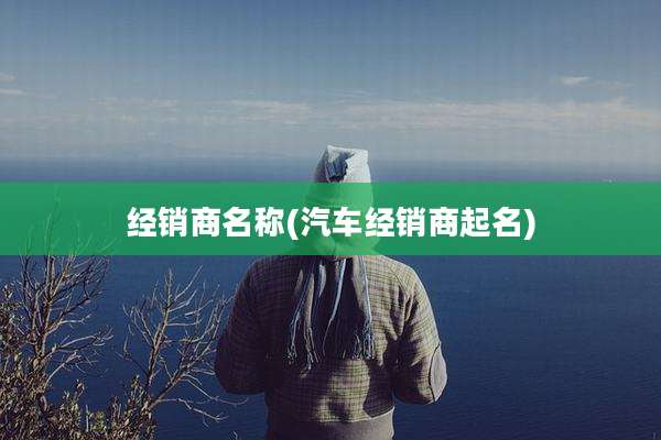 经销商名称(汽车经销商起名)