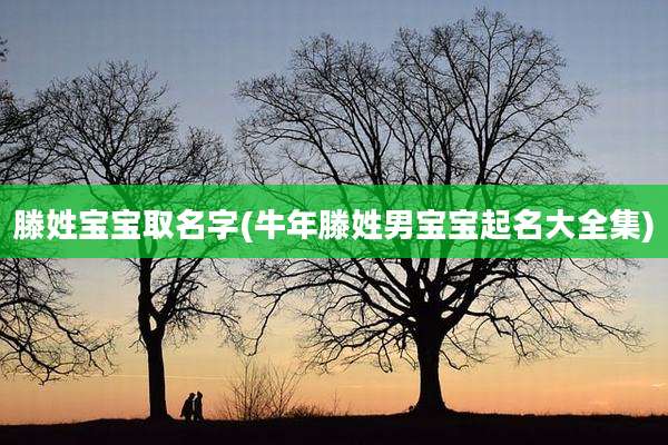 滕姓宝宝取名字(牛年滕姓男宝宝起名大全集)