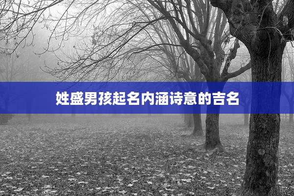 姓盛男孩起名内涵诗意的吉名