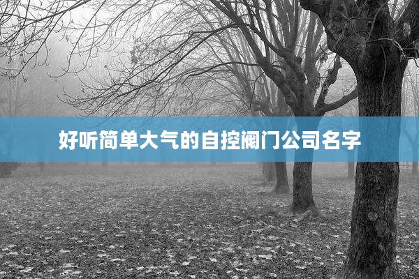 好听简单大气的自控阀门公司名字