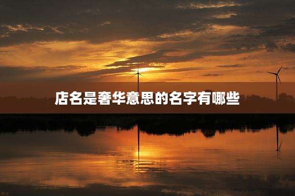 店名是奢华意思的名字有哪些