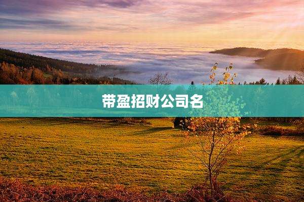 带盈招财公司名