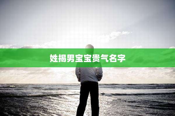 姓揭男宝宝贵气名字
