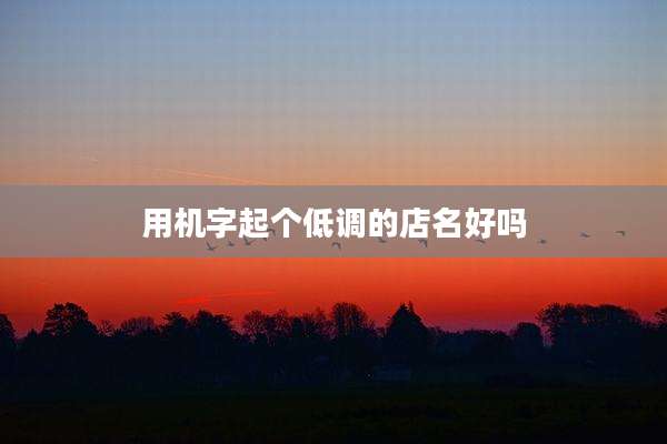 用机字起个低调的店名好吗