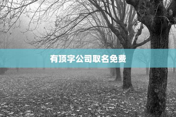 有顶字公司取名免费