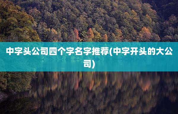 中字头公司四个字名字推荐(中字开头的大公司)