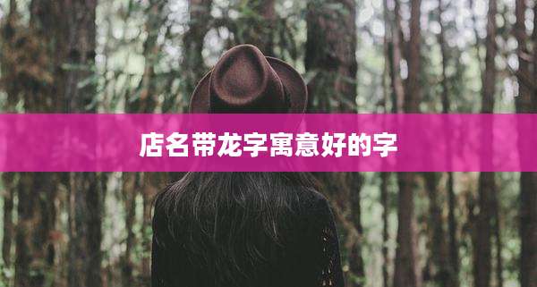 店名带龙字寓意好的字
