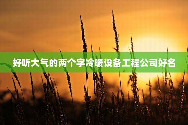 好听大气的两个字冷暖设备工程公司好名