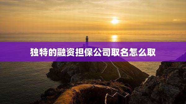 独特的融资担保公司取名怎么取