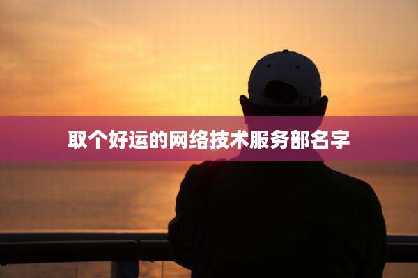 取个好运的网络技术服务部名字