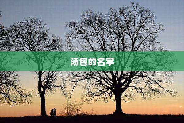 汤包的名字