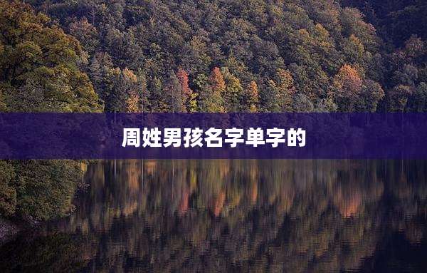 周姓男孩名字单字的