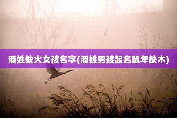 潘姓缺火女孩名字(潘姓男孩起名鼠年缺木)