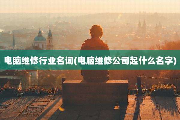 电脑维修行业名词(电脑维修公司起什么名字)