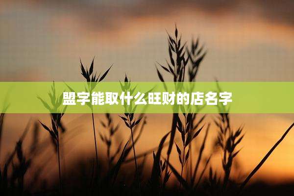 盟字能取什么旺财的店名字