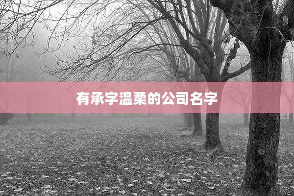 有承字温柔的公司名字