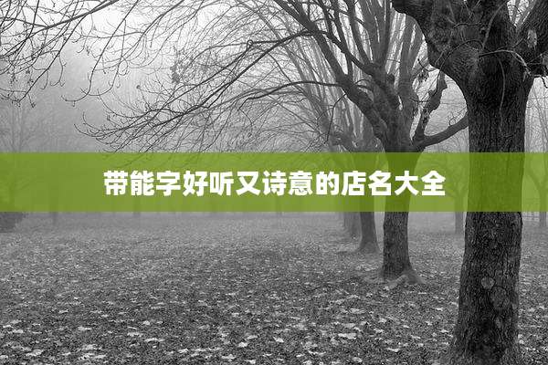 带能字好听又诗意的店名大全
