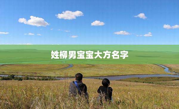 姓柳男宝宝大方名字