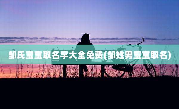 邹氏宝宝取名字大全免费(邹姓男宝宝取名)