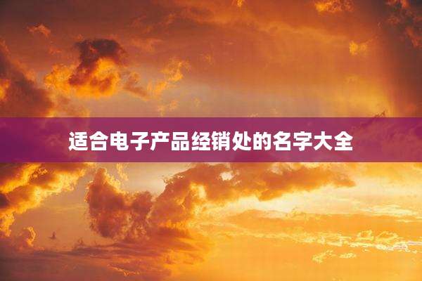 适合电子产品经销处的名字大全