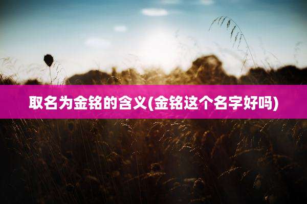 取名为金铭的含义(金铭这个名字好吗)