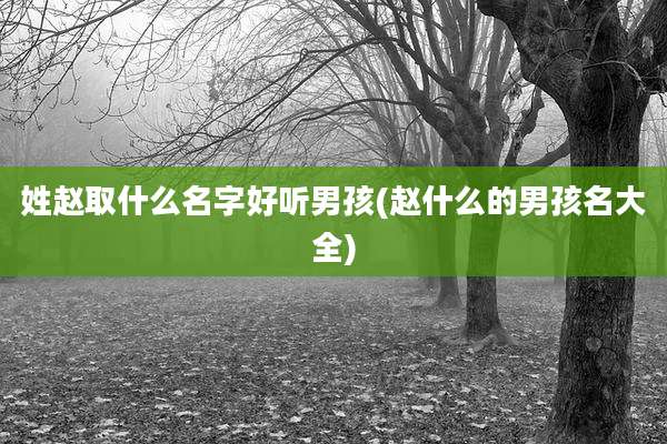 姓赵取什么名字好听男孩(赵什么的男孩名大全)