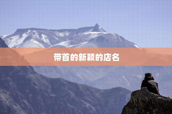 带首的新颖的店名