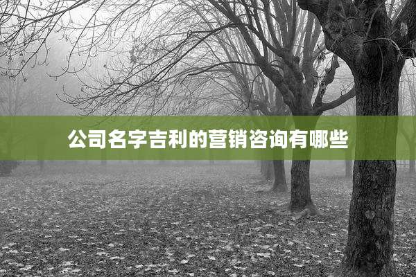公司名字吉利的营销咨询有哪些