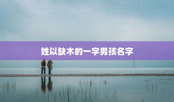 姓以缺木的一字男孩名字