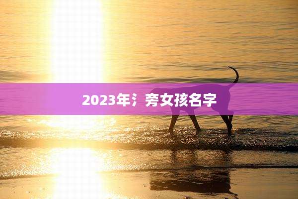 2023年氵旁女孩名字