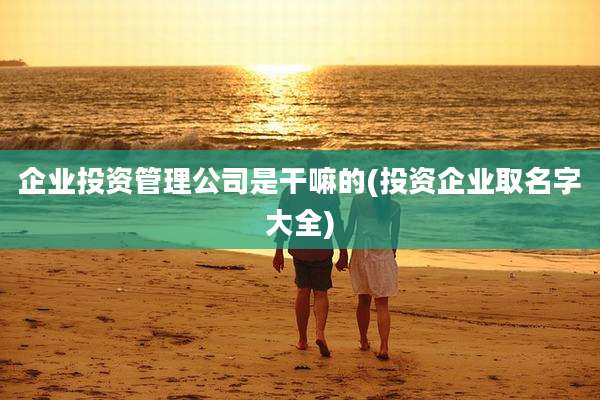企业投资管理公司是干嘛的(投资企业取名字大全)