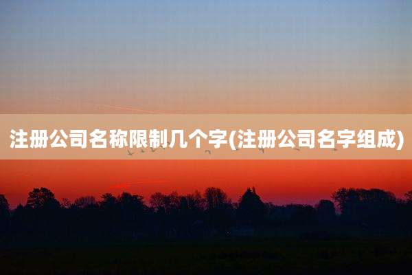 注册公司名称限制几个字(注册公司名字组成)