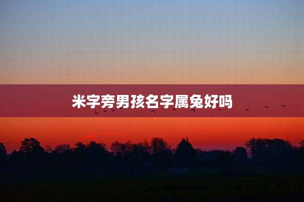 米字旁男孩名字属兔好吗
