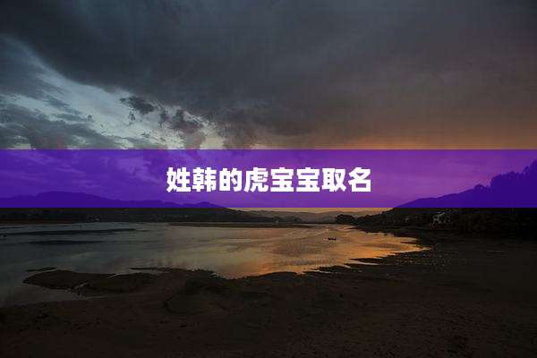 姓韩的虎宝宝取名