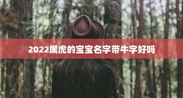 2022属虎的宝宝名字带牛字好吗