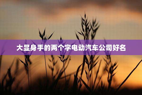 大显身手的两个字电动汽车公司好名
