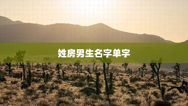 姓房男生名字单字