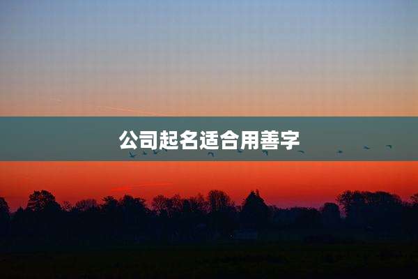 公司起名适合用善字