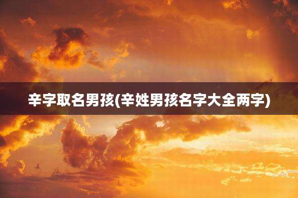 辛字取名男孩(辛姓男孩名字大全两字)