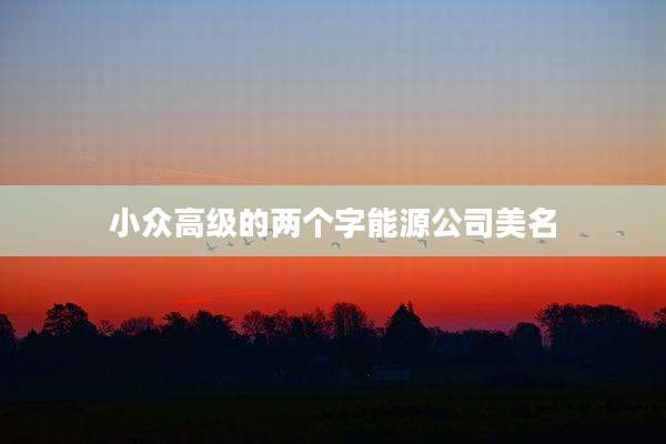 小众高级的两个字能源公司美名