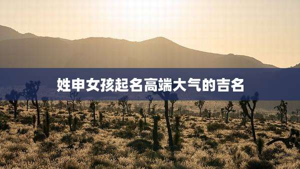 姓申女孩起名高端大气的吉名