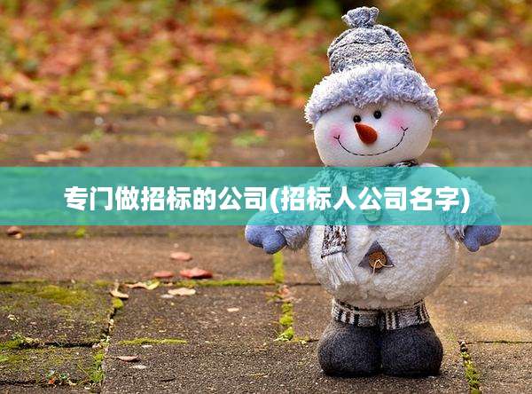 专门做招标的公司(招标人公司名字)