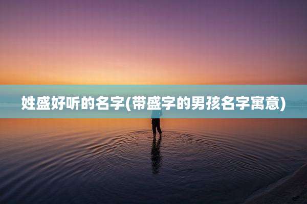 姓盛好听的名字(带盛字的男孩名字寓意)