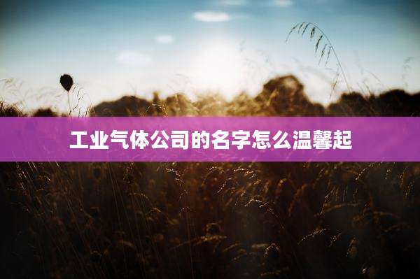工业气体公司的名字怎么温馨起